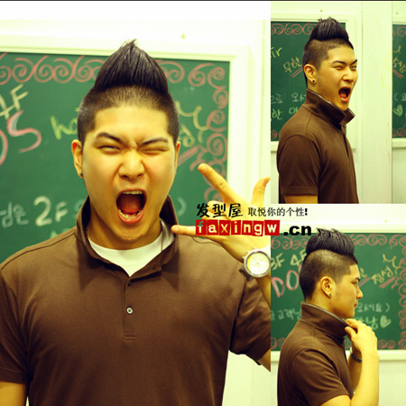 <em>莫西干发型图</em> 莫西干式发型是什么(3)