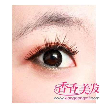 ���̷�ױ�ݡ�������̷�����