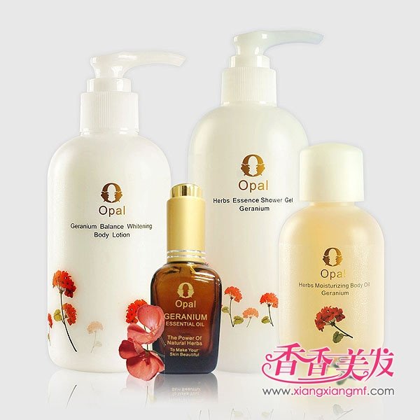 ���ջ�����2012��ʲô����������