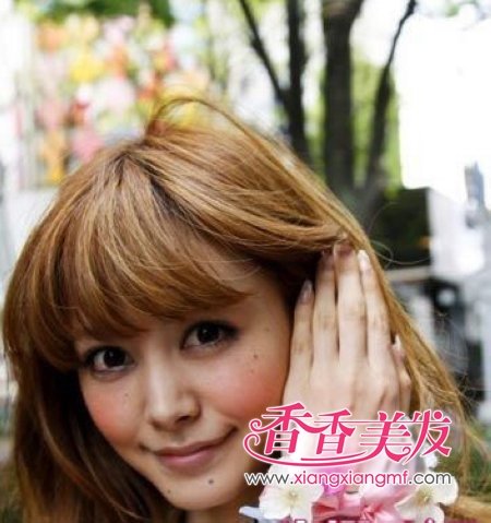 ��ϵ������2012ѧ������