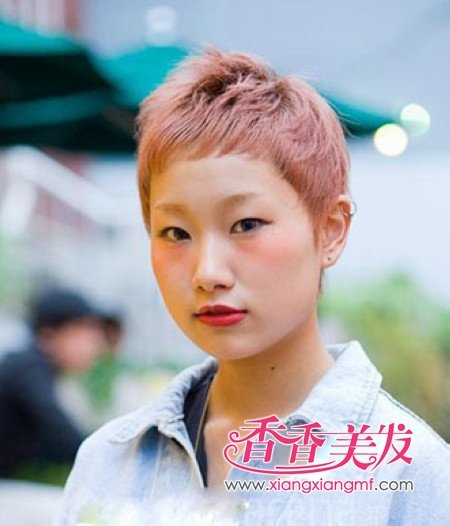 ���������͡�2012��������������