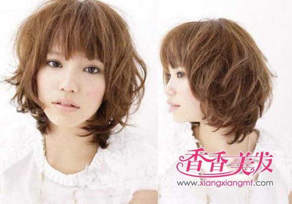 ���������͡�2012��������������