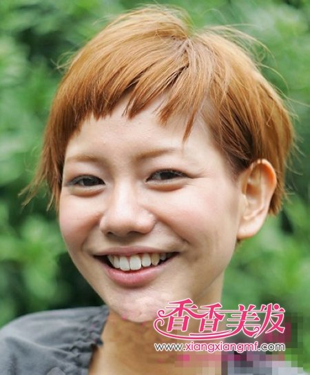 2012������������ʲô��ɫ����ϵ��������