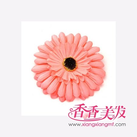 �ǹ����Ρ�����������ר����Ʒ