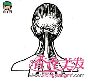 �Ĺɱ�ı෨,��ʽ�Ĺɱ��ӵı෨