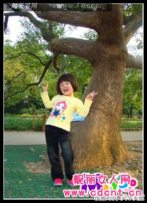 СŮ��ͷ������