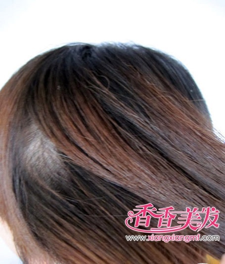 ��ʽЫ�ӱ����ͷ�� ��Ы�ӱ�����