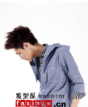 �����зַ���,�����з�����