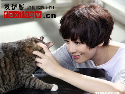 �־����̷���Ƭ