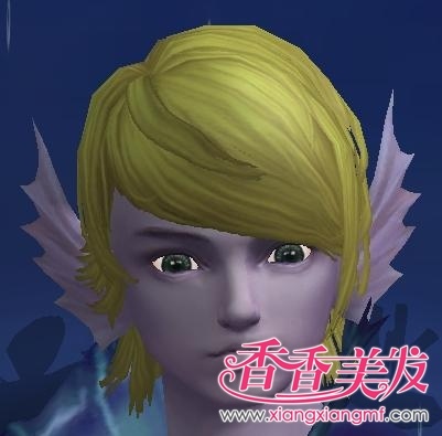 ����������ְҵ����