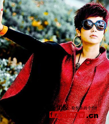 Ⱦ�ƺ�ɫͷ��