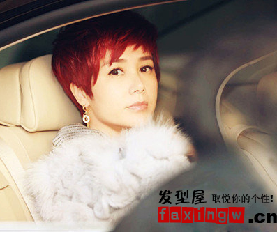 Ⱦ�ƺ�ɫͷ��