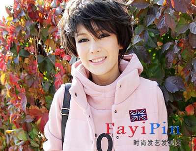 ���������е�����,������������ͼƬ