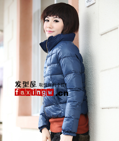 ��ͷС�������ÿ���