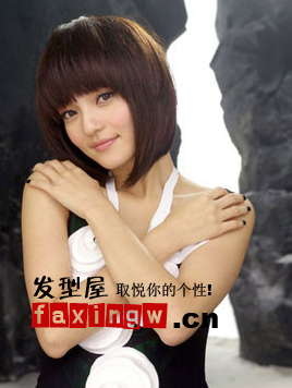 ������bob,����boboͷ