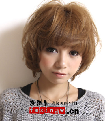 ������ϵ����