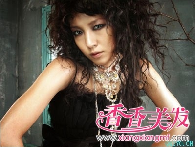 �ɹ��ķ���������diy ��������������