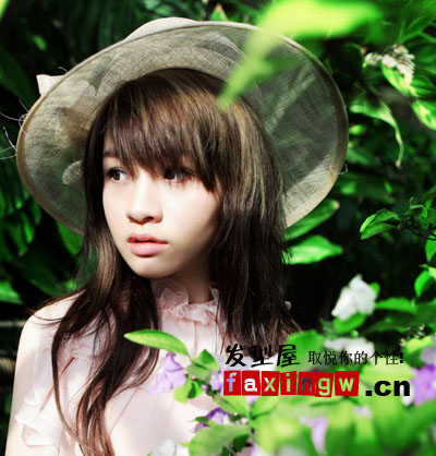 ɭ��ϵ����