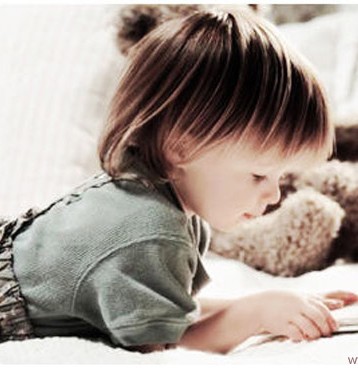 �׶�԰����,�׶��������ͼƬ