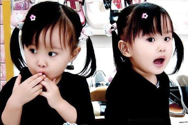 �׶�԰����,�׶��������ͼƬ