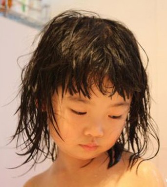 �׶�԰����,�׶��������ͼƬ