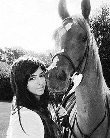 ������������,�ϰݹ�������