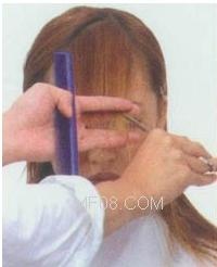 �մ��������������ͼ,�մ��̷���ͼƬ