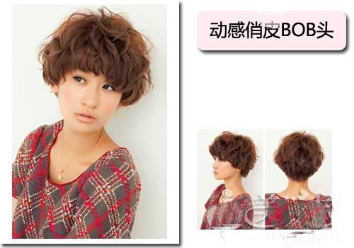 �����е�bobo�̷�,����bob�̷���ѧ