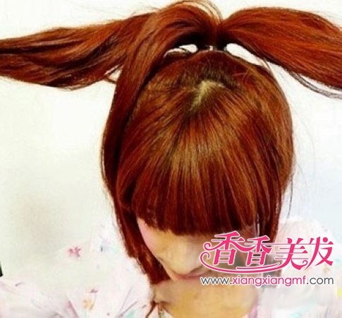 ���ط��������ͺ�ʽ���� ��������ͷ��ͼʾ