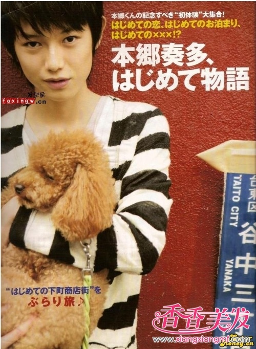 ����������ʲô����,�ʺϳ��������ķ���