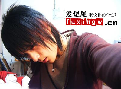 ����ʽ����