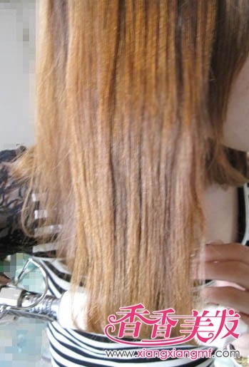 ��ζʮ����滨ͷ�������̳�����