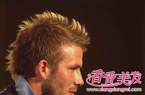 Ī���ɷ���ͼ,Ī����ʽ����