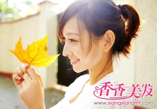 ˧��С�������������̽���� ���������·���