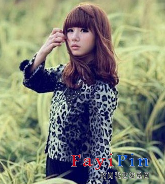 ����ϵ��2014������ʲô�������� 2014�����������е�����ͼƬ