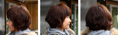 ���з��ͺ�Ҷͷ,���Ҷͷ����