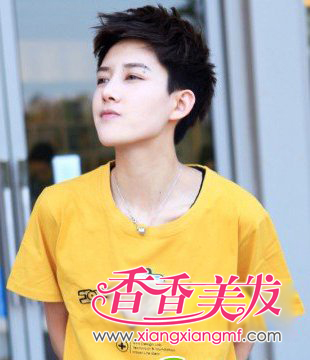 �����������ʽ����