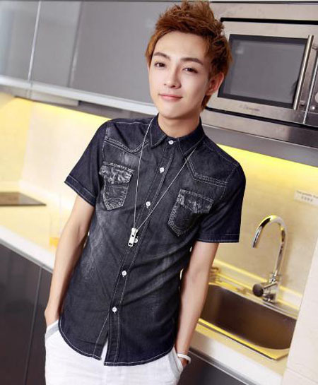 2013����������Ⱦ������