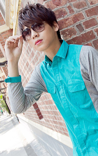 2013����������Ⱦ������