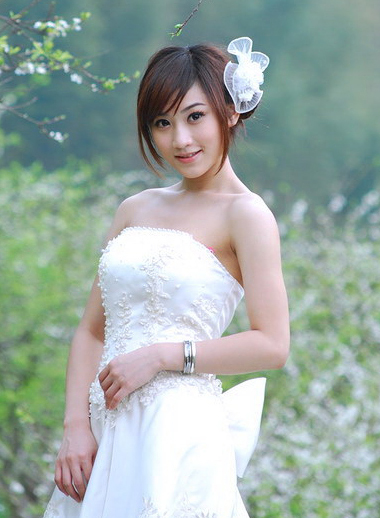 ��ʽ���������̷����ͼ���